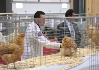 Conor Keegan | 2021 Masters' Cup Poultry Show Judge