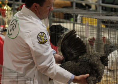 Connor Keegan | 2021 Master's Cup Poultry Show Judge